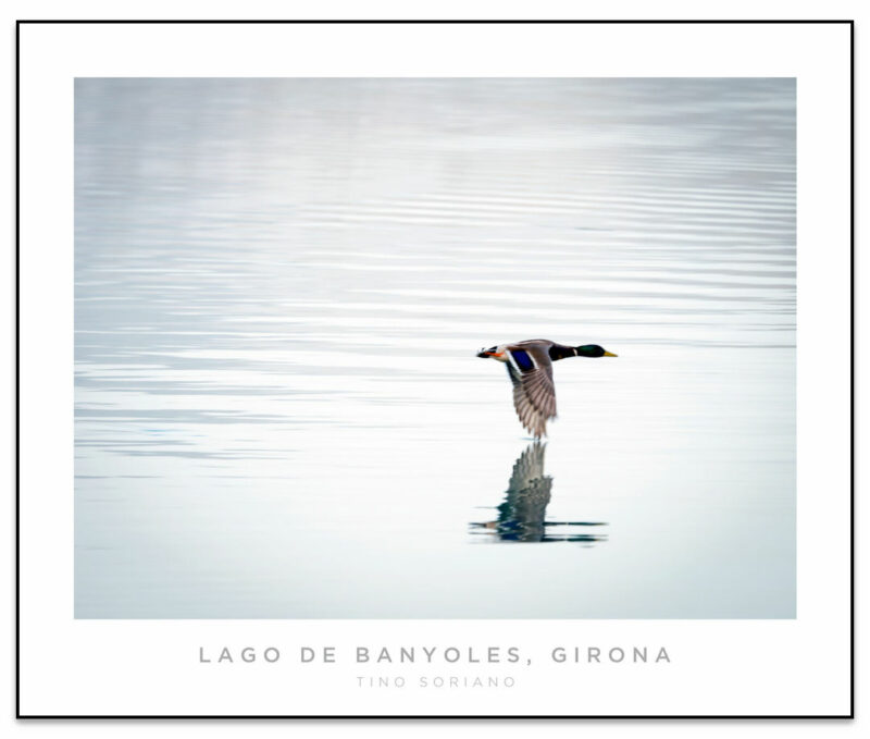 Lago de Banyoles #15 • Panorama Planet